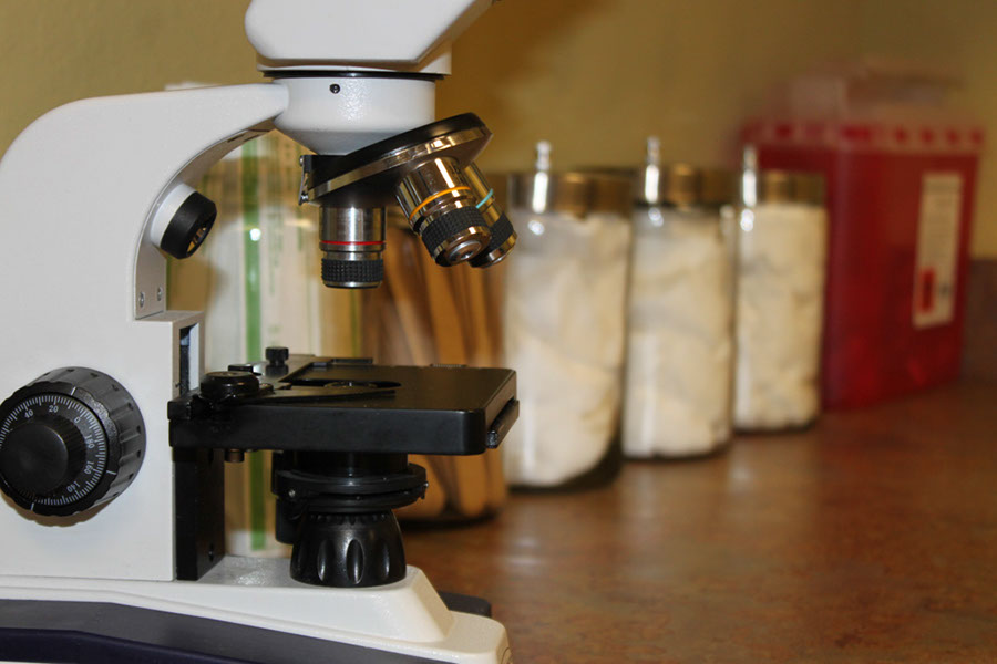 A microscope and medical cotton swabs